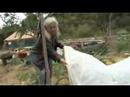 Permaculture 101- Penny Livingston-Stark 